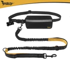 Kép 7/15 - Deréköv pórázzal