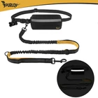 Kép 8/15 - Deréköv pórázzal