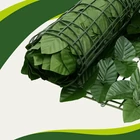 Kép 18/18 - Műsövény erkélyre 5x0,5m