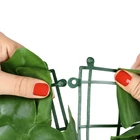 Kép 8/18 - Műsövény erkélyre 5x0,5m