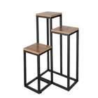 Kép 3/10 - Álló virágtartó 67cm