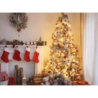 Kép 9/11 - Beltéri karácsonyi égősor