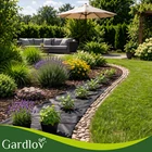 Kép 10/13 - Fekete talajtakaró