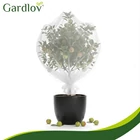 Kép 6/17 - Virágágyásvédő háló 3x6m-es