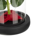 Kép 7/10 - Rózsa üvegben