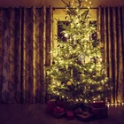 Kép 4/8 - Fényfüzér - 50 db LED - melegfehér - hálózati - 5 m - 8 program