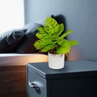 Kép 1/2 - Műnövény dekoráció - monstera - 22 x 8,5 cm