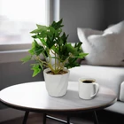 Kép 1/2 - Műnövény dekoráció - borostyán - 20 x 9 cm