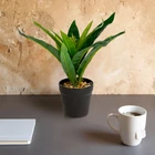 Kép 1/2 - Műnövény dekoráció - zöld sáfrányfa - 20 x 8,5 cm