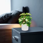 Kép 1/2 - Műnövény dekoráció - filodendron - zöld/sárga - 20 x 8 cm