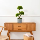 Kép 1/2 - Műnövény dekoráció - bonsai - 55 x 27 cm