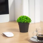 Kép 2/3 - Műnövény dekoráció - cserepes - 12 x 13 cm