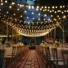 Kép 2/7 - Smart fényfüzér - 100-240V - 25 db melegfehér LED - 15 m - bluetooth