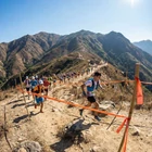 Kép 3/5 - Jelölőszalag (fluoreszkáló, 75 m x 25 mm x 0,1 mm)