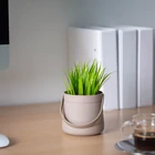 Kép 2/3 - Műnövény dekoráció - kosár - 11 x 18 cm - 3 féle