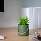 Kép 3/3 - Műnövény dekoráció - kosár - 11 x 18 cm - 3 féle