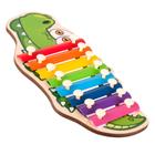Kép 5/5 - Krokodil formájú színes xilofon