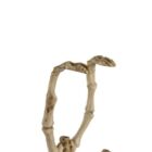 Kép 4/11 - Malatec denevér csontváz dekoráció 30 cm