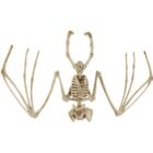 Kép 1/11 - Malatec denevér csontváz dekoráció 30 cm