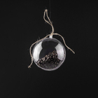 Kép 6/13 - Ruhhy átlátszó gömbök 5 darabos készlet 12 cm