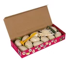 Kép 7/13 - Dinoszaurusz ásatás játék