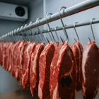 Kép 8/9 - Füstölő horog, 15db