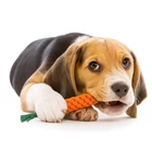 Kép 10/11 - Kutyajáték készlet 16 db