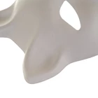 Kép 12/15 - DIY macska álarc készítő