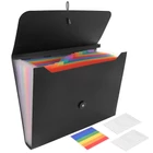 Kép 1/10 - Maaleo 13 rekeszes A4-es iratmappa gumiszalaggal