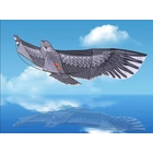 Kép 2/10 - Reptethető szélsárkány, sas, 200 cm