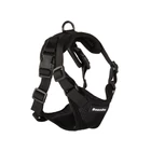 Kép 4/9 - Kutyahám