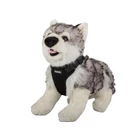 Kép 9/9 - Kutyahám