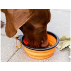 Kép 3/9 - Összecsukható utazótál kutyáknak, narancs, 800 ml