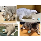 Kép 4/10 - Mozgó labda kutyáknak és macskáknak távirányítóval