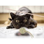 Kép 3/10 - Papírlabda csörgő macskajáték