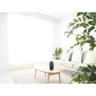 Kép 5/10 - Visszaáramló füstölőkúp tartó 10 db füstölőkúppal