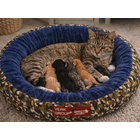 Kép 11/12 - Kutya és macska fekhely megemelt oldalfallal, 53 X 35 cm, terepmintás