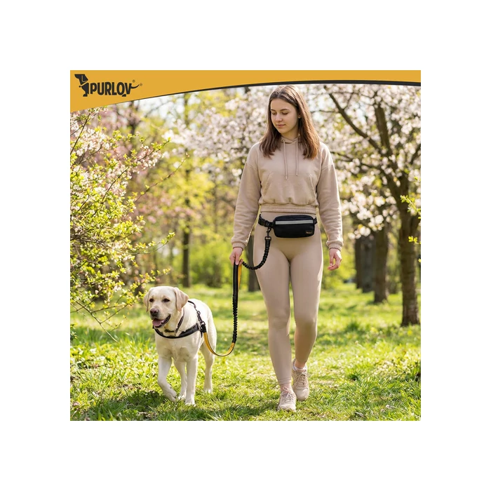 Deréköv pórázzal