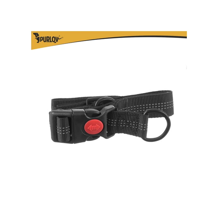 Deréköv pórázzal