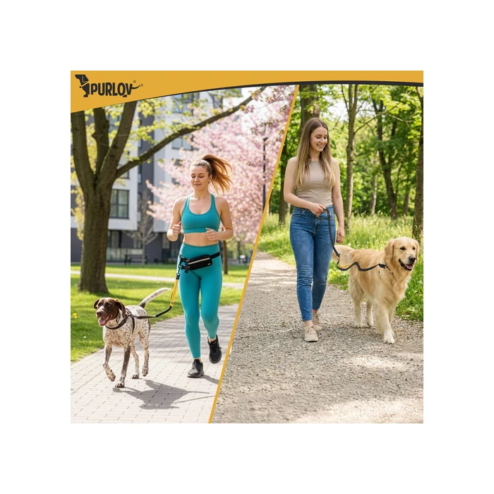 Deréköv pórázzal