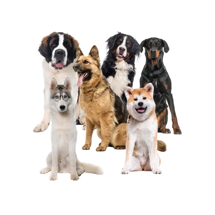 Hűtőszőnyeg állatoknak - fekete, 110x70cm