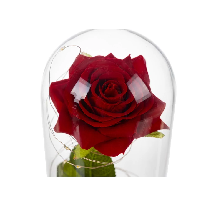 Rózsa üvegben