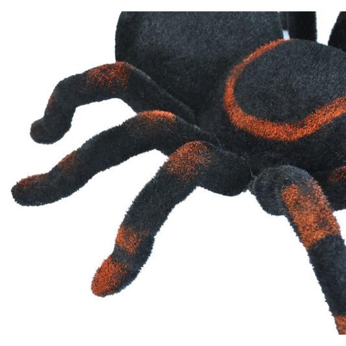 Vezeték nélküli távirányítós pók – óriás tarantula