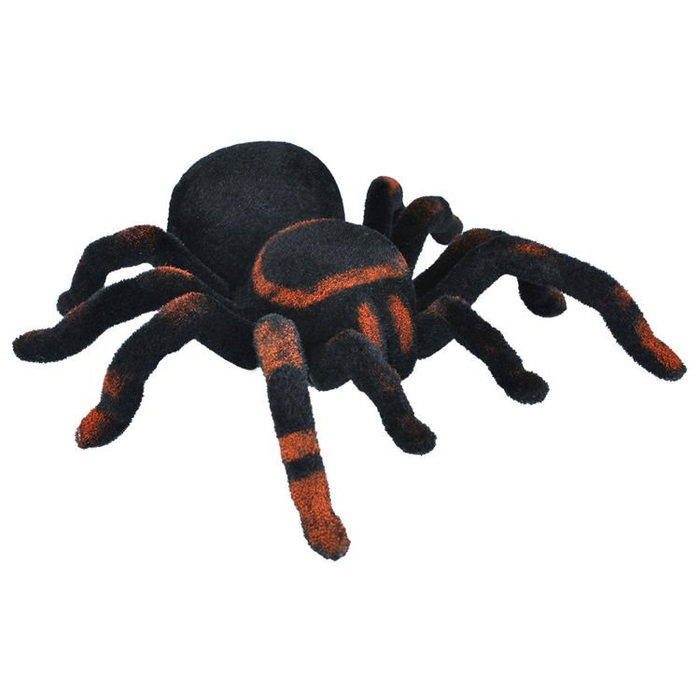 Vezeték nélküli távirányítós pók – óriás tarantula