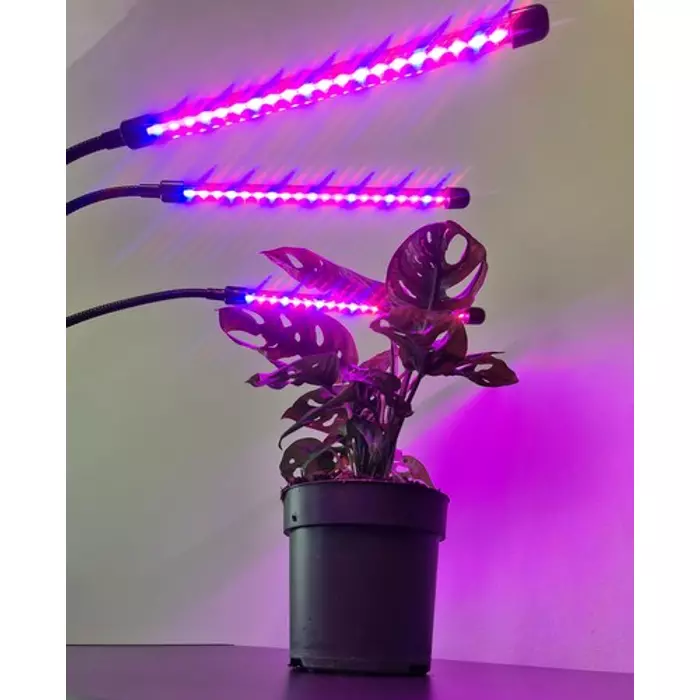 Palántanövesztő lámpa 20 LED-es - háromágú