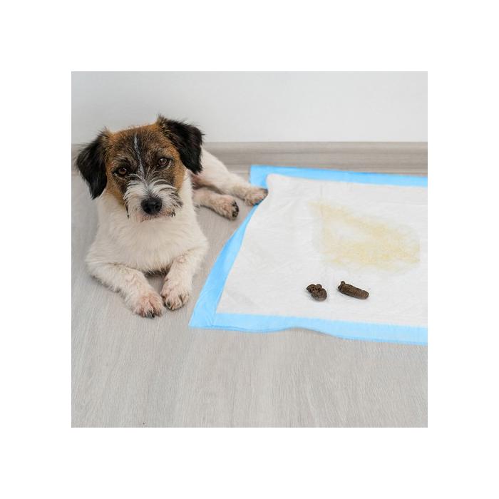  50 db abszorbens alátét kutyapiszokzsákkal (60x60cm)