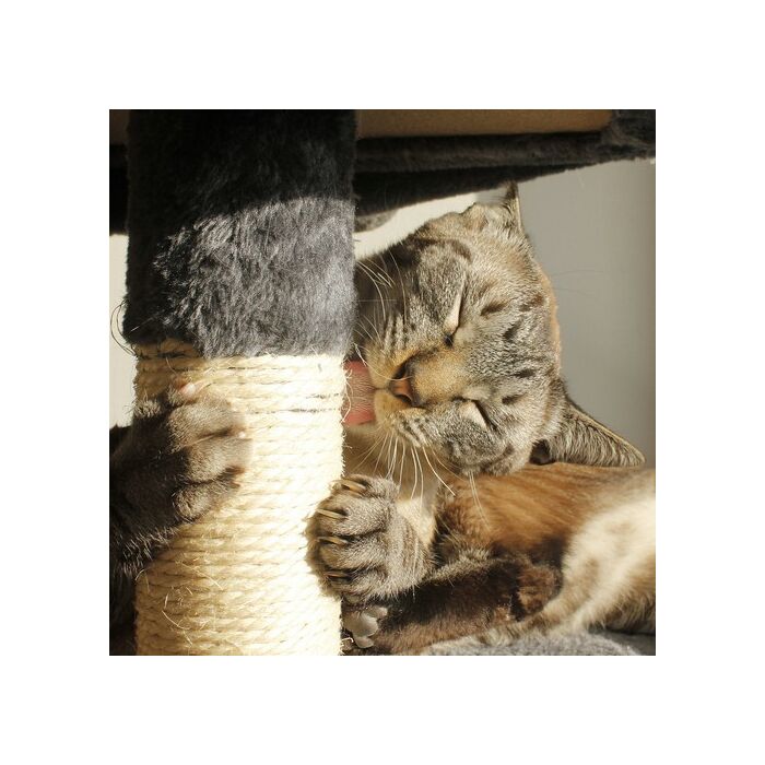 Purlov macska kaparófa szürke 71 cm