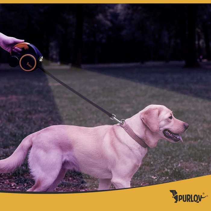 Automata póráz LED lámpával, 5 m, 25 kg