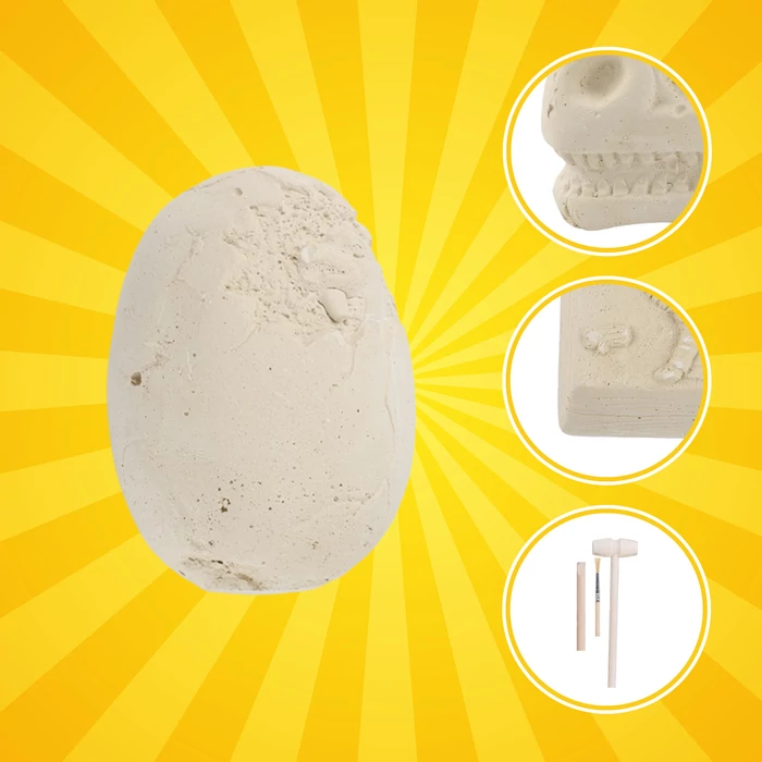 Dinoszaurusz régészeti készlet 5 az 1-ben