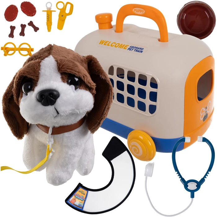 Állatorvosi szett hordozóval